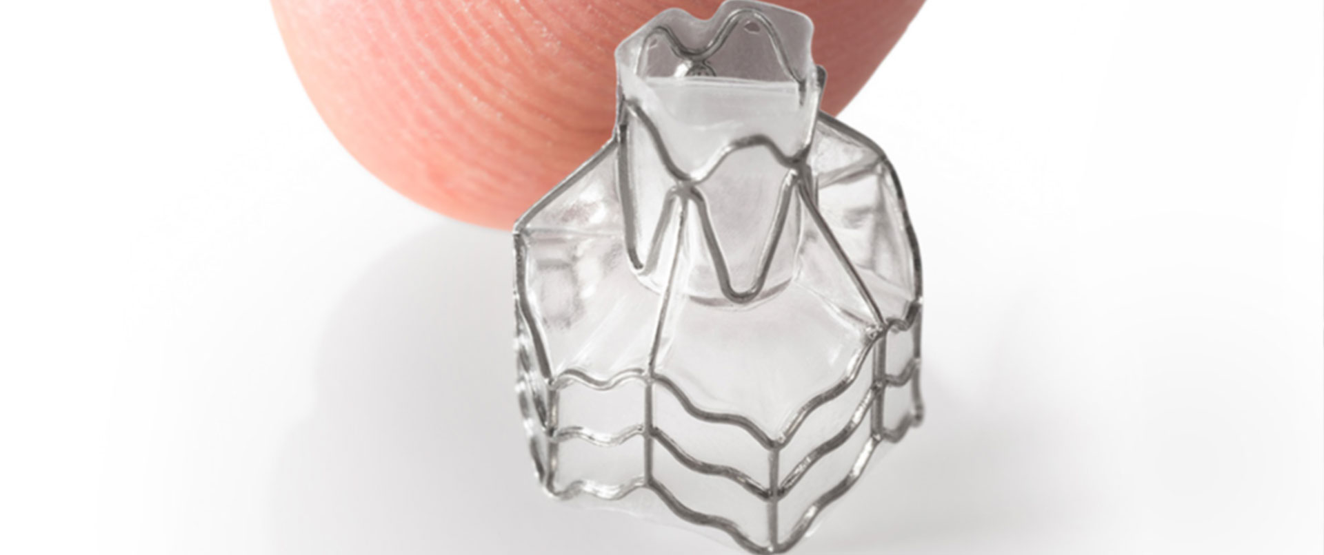 Zephyr® Endobronchial Valve System