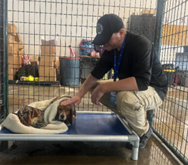 Morgan County Dog Pound 1