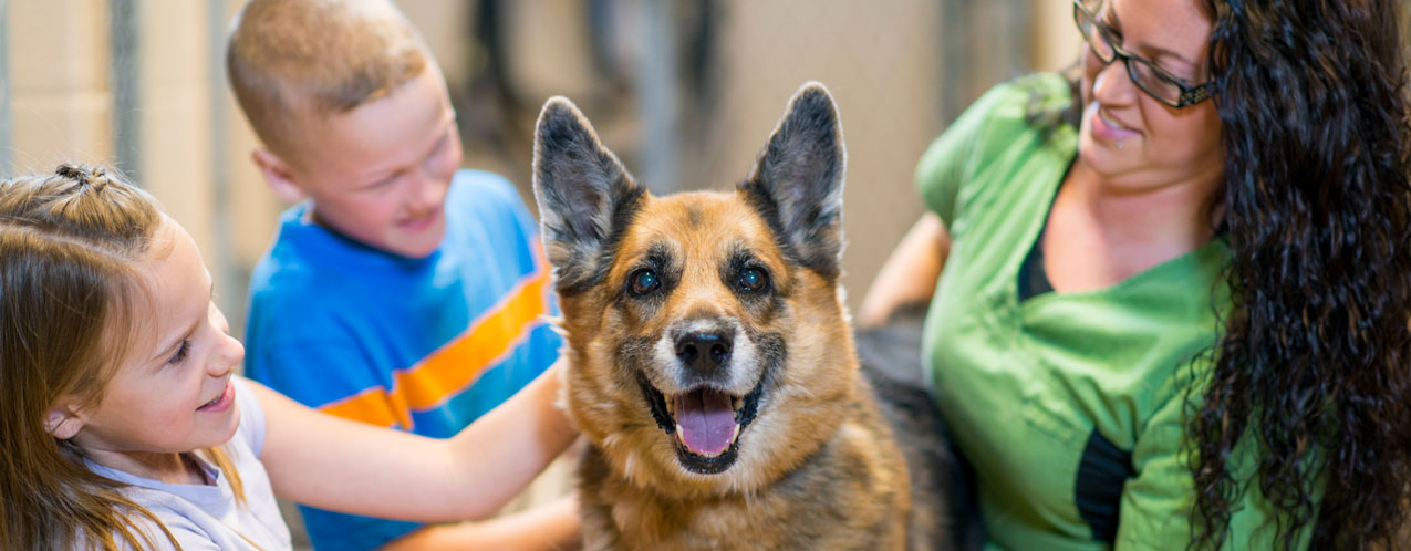 Genesis therapy dog getting pet by smiling kids and woman