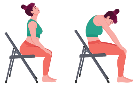 chair cat cow yoga illustration