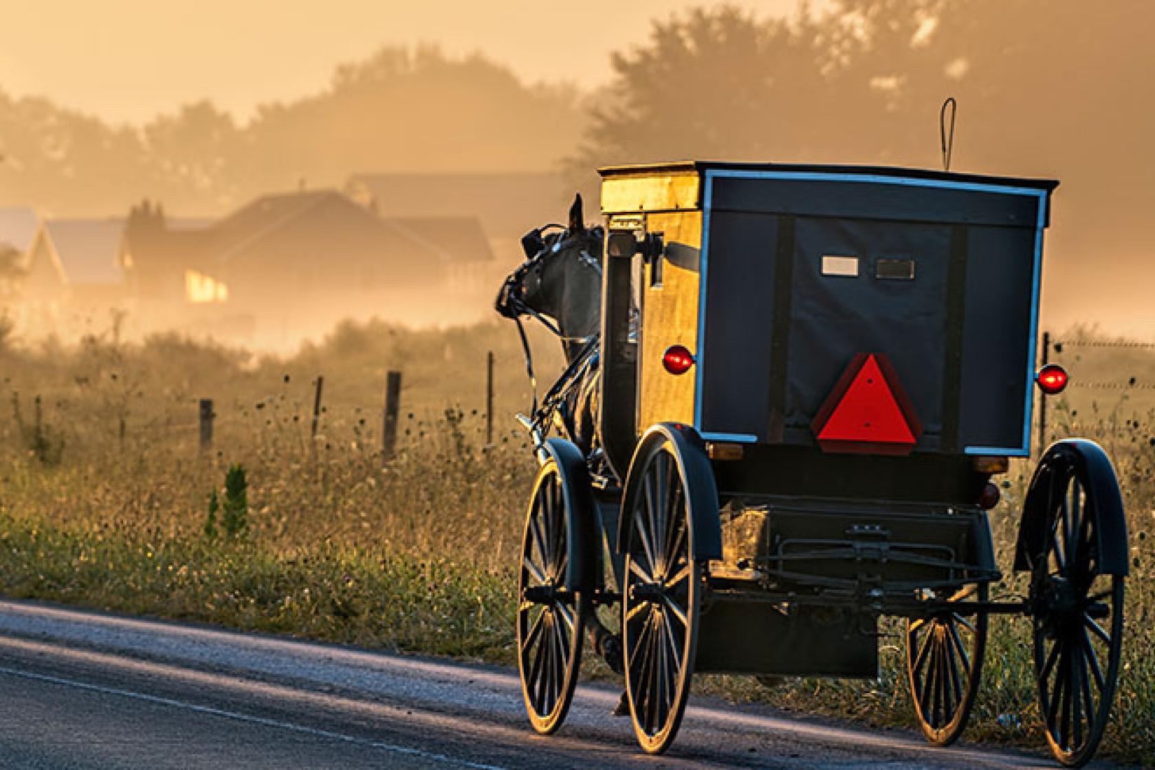 Genesis Amish Healthcare Advocates