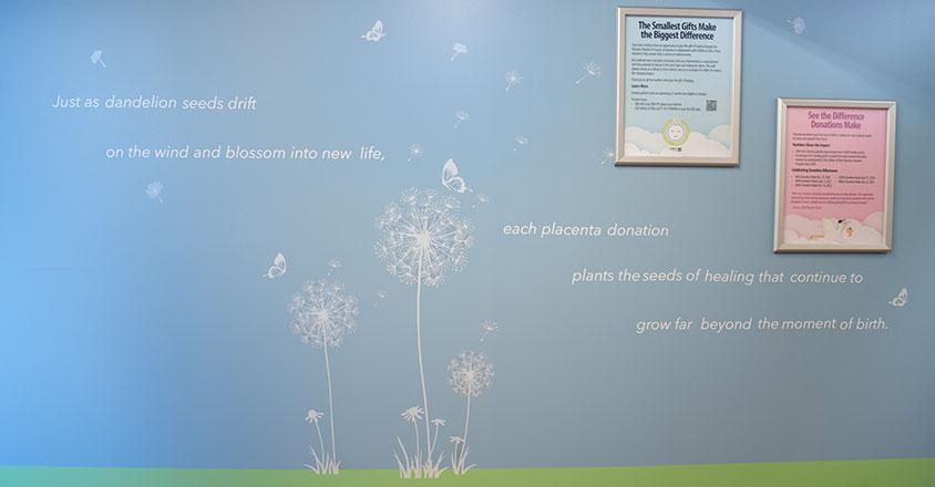 Placenta donation recognition wall