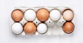 Some egg-citing debates about eggs 