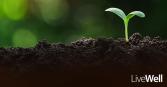 Planting Seeds to retain better health