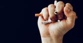 A close-up shot showcases a clenched fist holding several crushed cigarettes against a stark black background. The fingers are tightly wrapped around the damaged cigarettes.