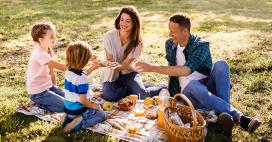 Safe picnic