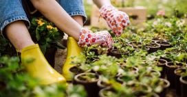  Gardening is good for your health