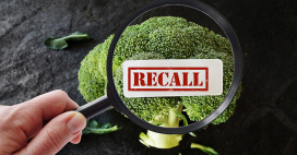 What do you do when a product is recalled?