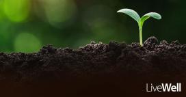 Planting Seeds to retain better health