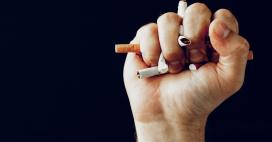A close-up shot showcases a clenched fist holding several crushed cigarettes against a stark black background. The fingers are tightly wrapped around the damaged cigarettes.